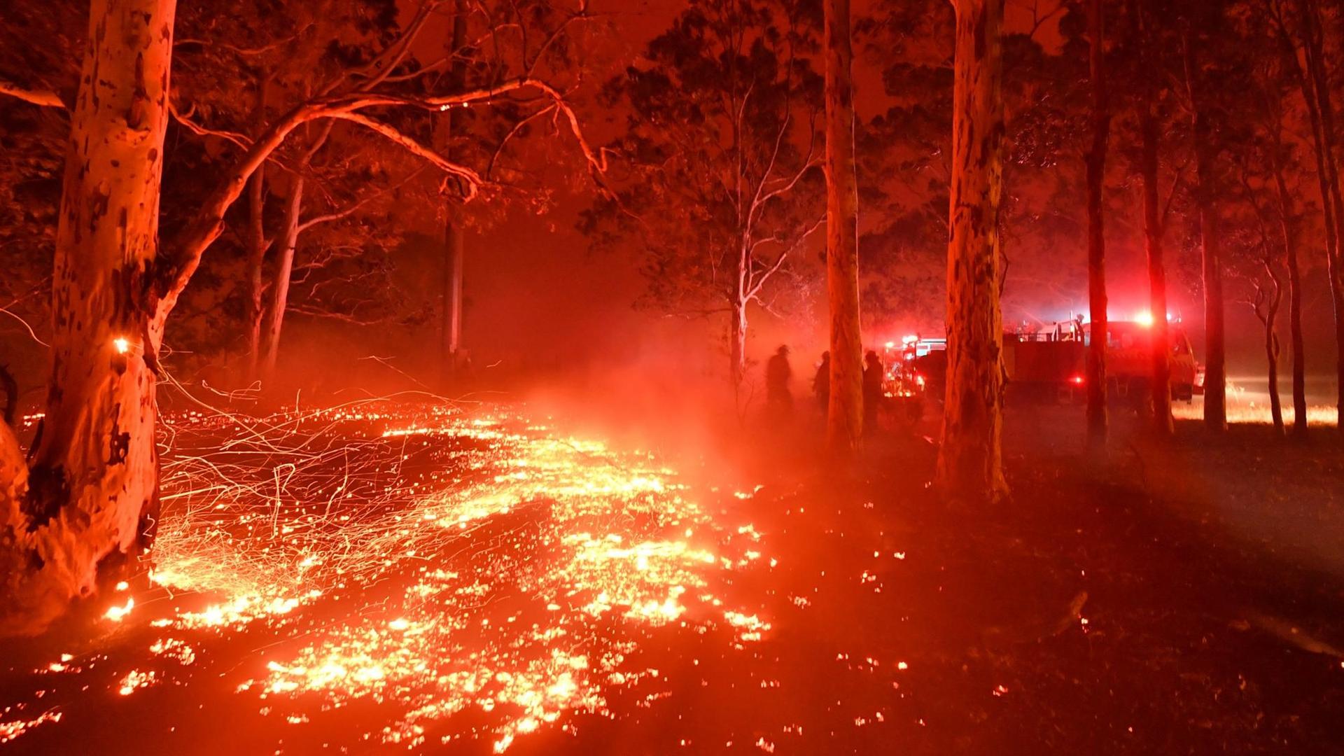 Buschfeuer nahe der Stadt Nowra im australischen Bundesstaat New South Wales.