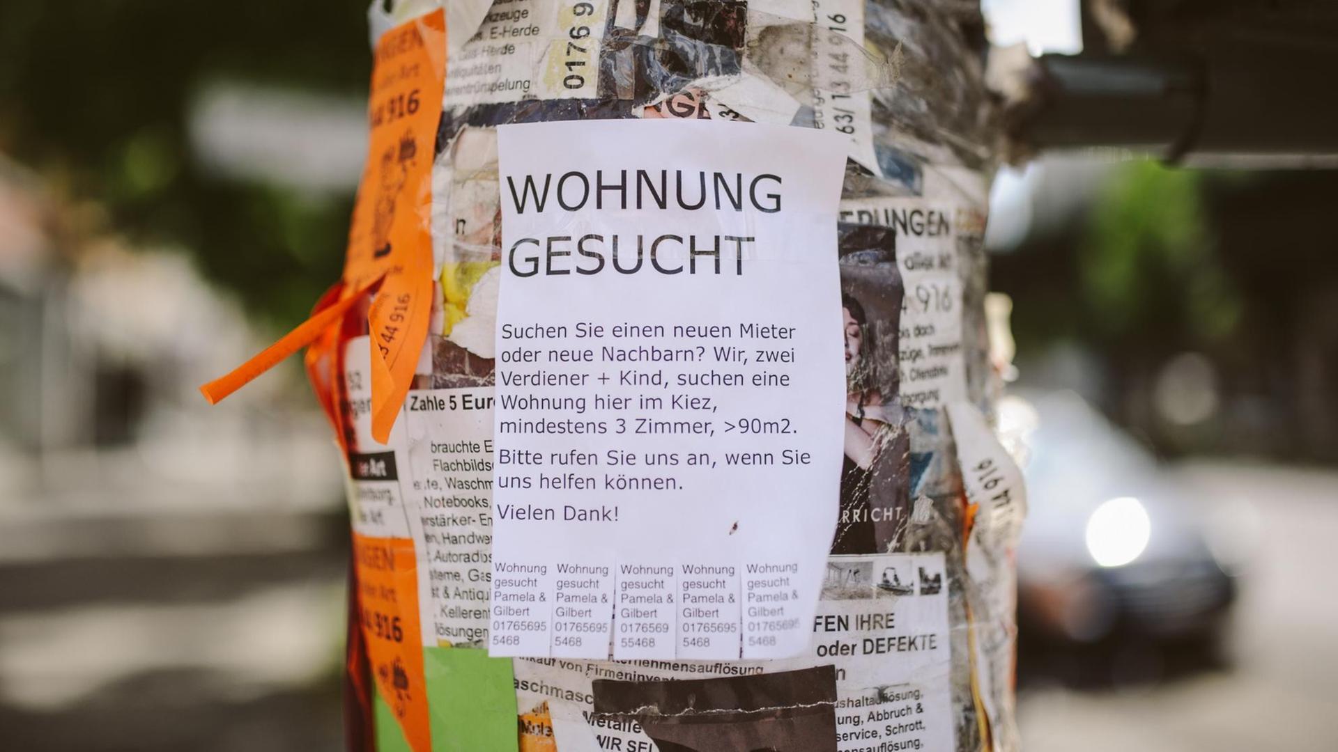 Eine Suchanzeige "Wohnung gesucht" hängt an einem Straßenmast.