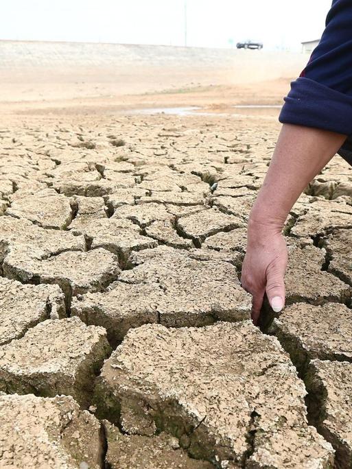 A person puts a hand into the land cracks of the drought-stricken reservoir dried up due to prolonged drought in Anqing city, east China's Anhui province, 6 November 2019. The Ministry of Finance allocated emergency funding of 100 million yuan ($14.2 million) for drought relief in five provincial regions in Central and Southwest China.