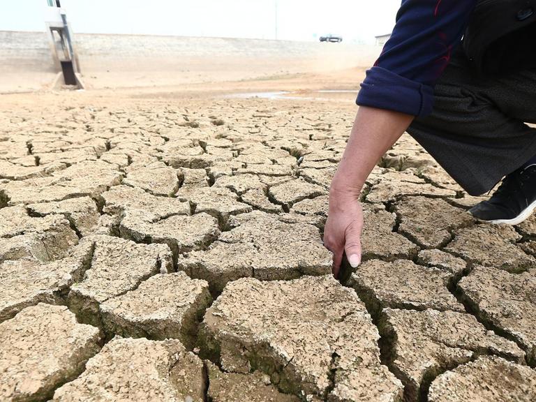 A person puts a hand into the land cracks of the drought-stricken reservoir dried up due to prolonged drought in Anqing city, east China's Anhui province, 6 November 2019. The Ministry of Finance allocated emergency funding of 100 million yuan ($14.2 million) for drought relief in five provincial regions in Central and Southwest China.