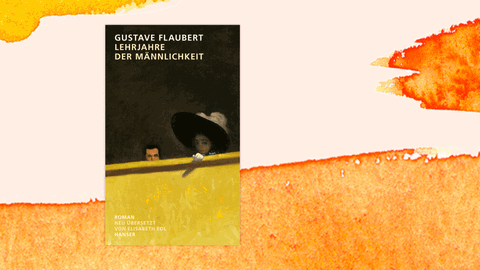 Cover des Buches "Lehrjahre der Männlichkeit" von Gustave Flaubert