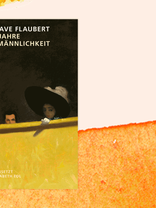 Cover des Buches "Lehrjahre der Männlichkeit" von Gustave Flaubert