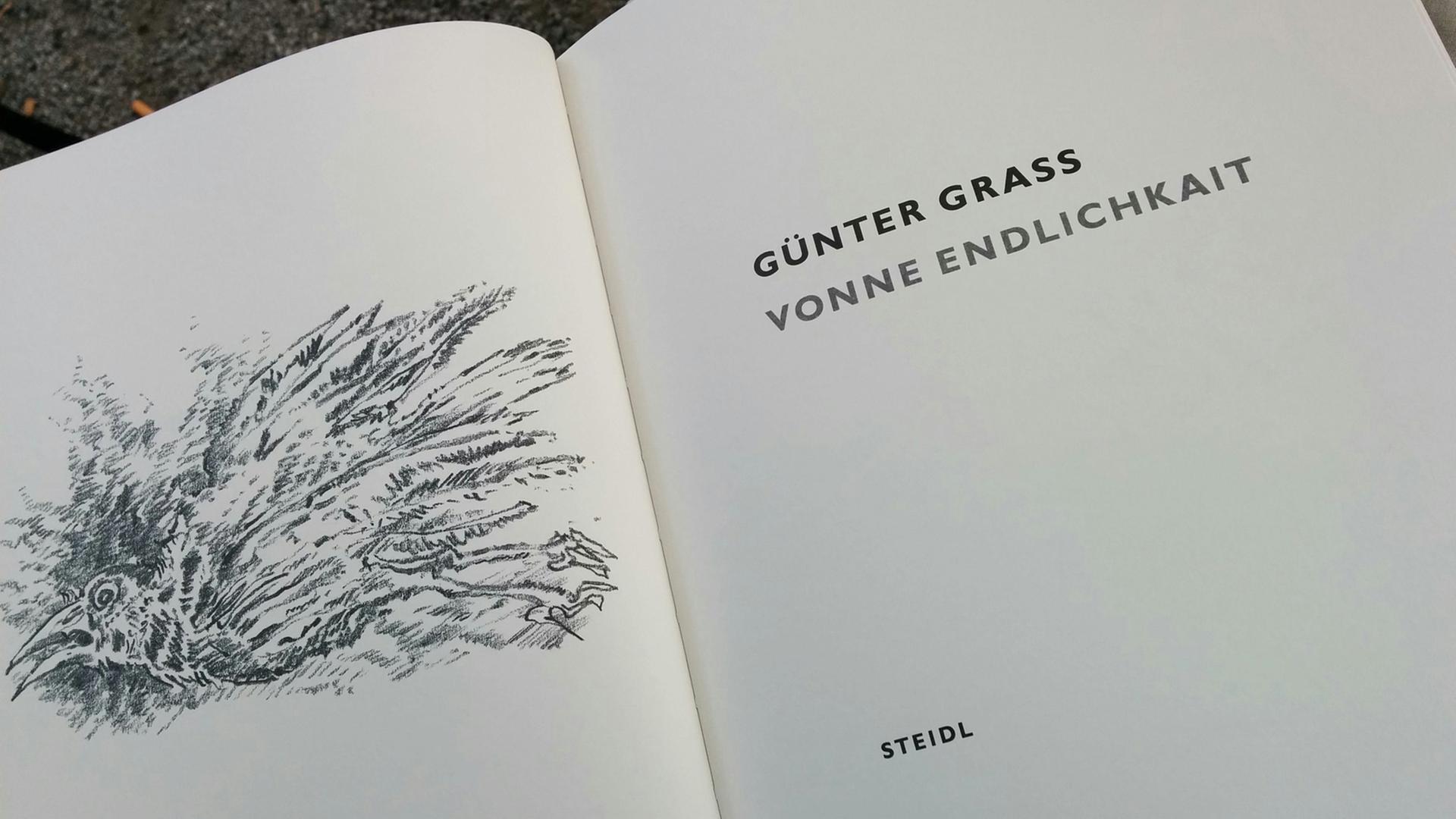 Aufgeschlagen: Günter Grass "Vonne Endlichkait"