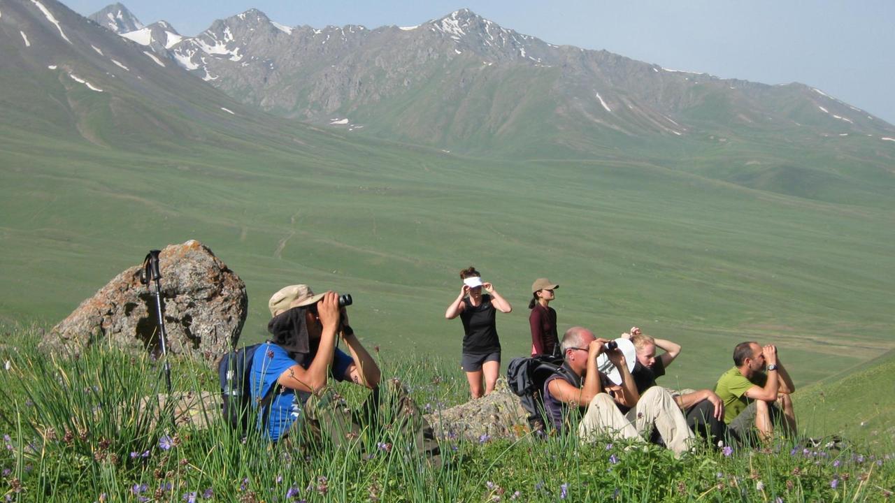 Internationale Helfer suchten in Kirgistan nach Schneeleoparden.