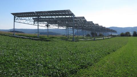 Die Agrophotovoltaik-Pilotanlage des Fraunhofer ISE in Heggelbach am Bodensee: Auf einem Feld mit Klee steht ein Gerüst mit Solarmodulen