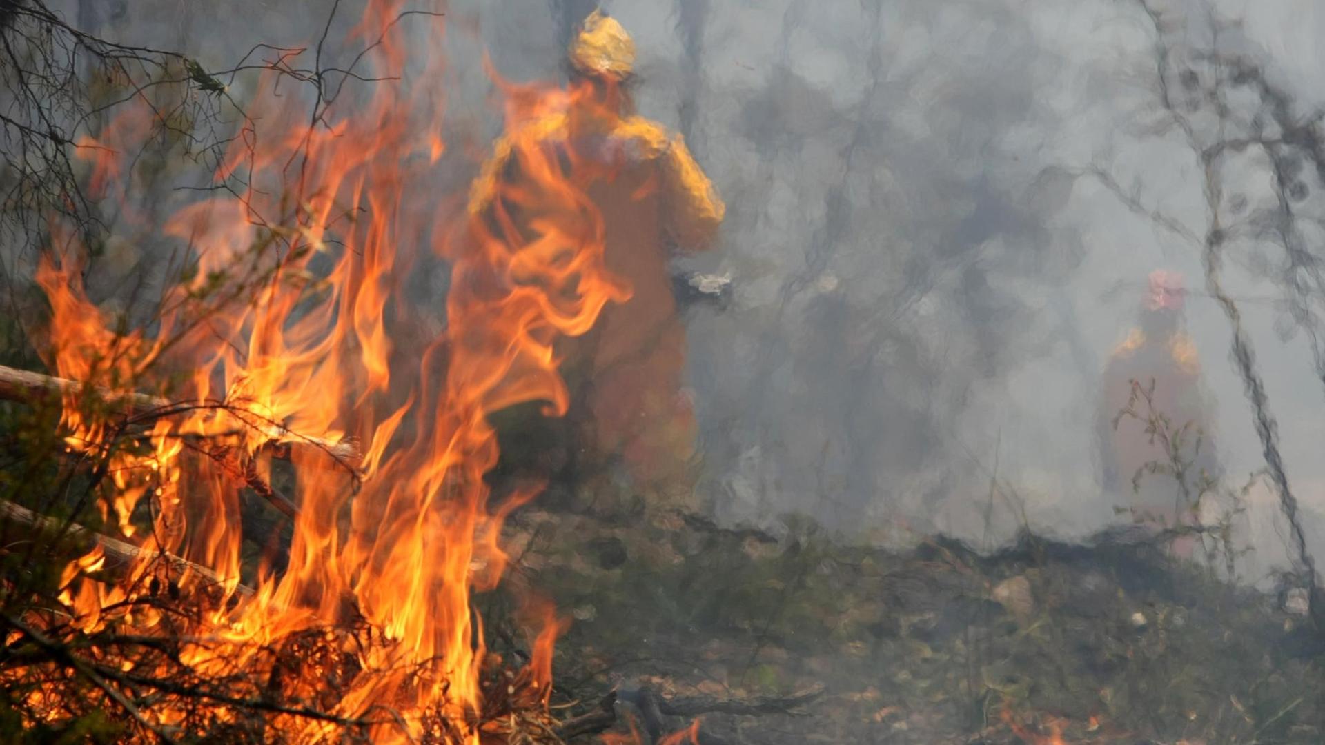 Buschfeuer bedrohen in Australien immer wieder Orte und Städte Buschfeuer bedrohen in Australien immer wieder Orte und Städte