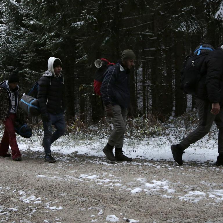 Eine Gruppe Geflüchteter geht durch einen Wald im Plješevica-Gebirge. Sie wollen versuchen, illegal die Grenze zu Kroation zu überqueren. 