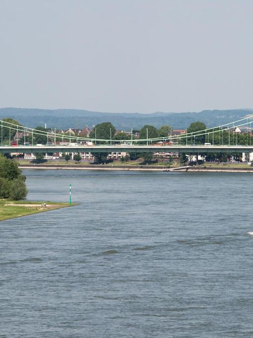 Die Mülheimer Brücke über den Rhein in Köln
