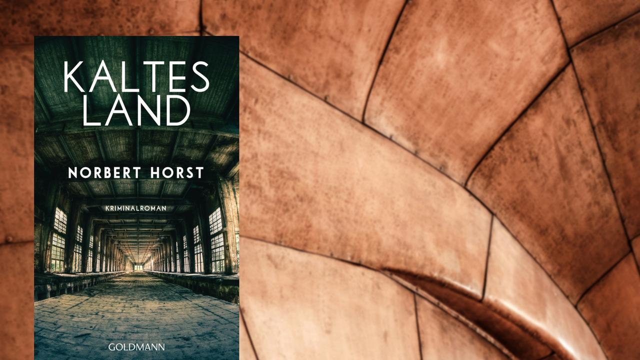 Norbert Horst: Kaltes Land (Goldmann)
