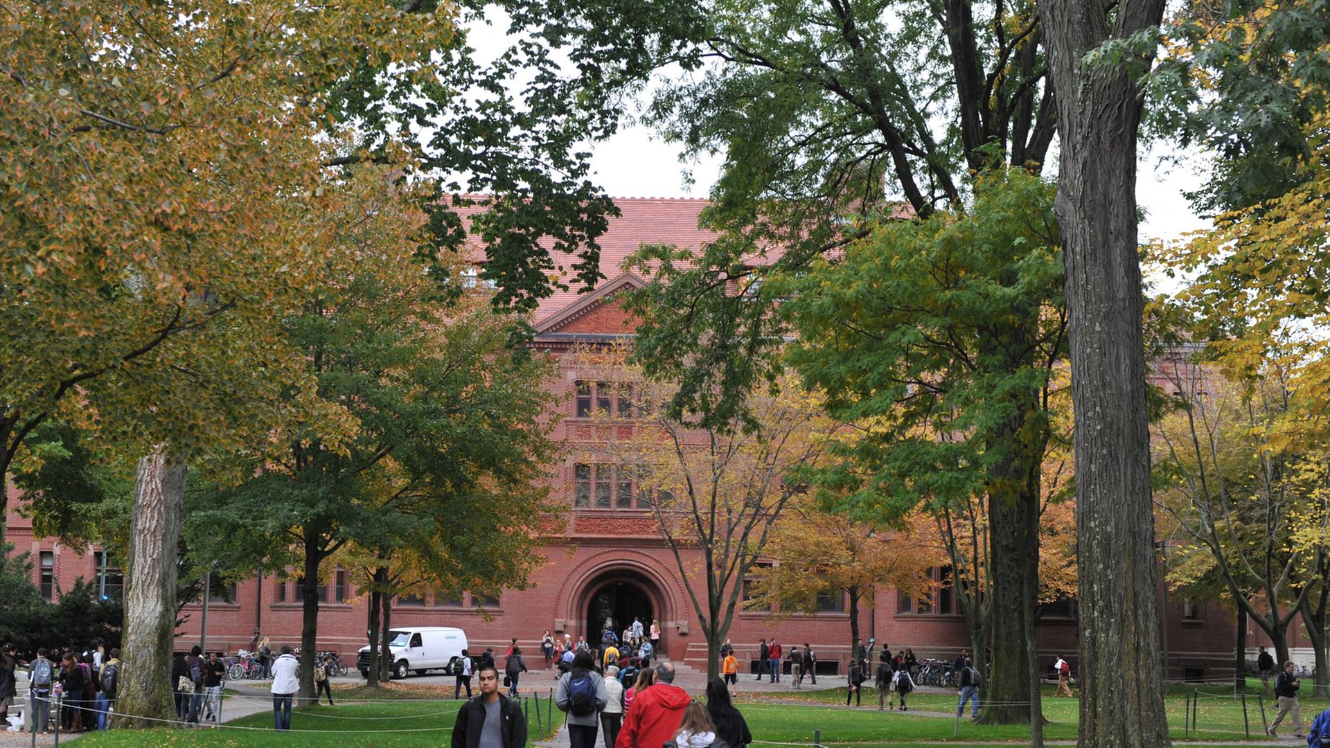 Blick auf ein rotes Gebäude, auf das ein Weg zwischen Grünflächen zugeht, auf denen Bäume stehen. Auf dem Weg gehen Menschen entlang.