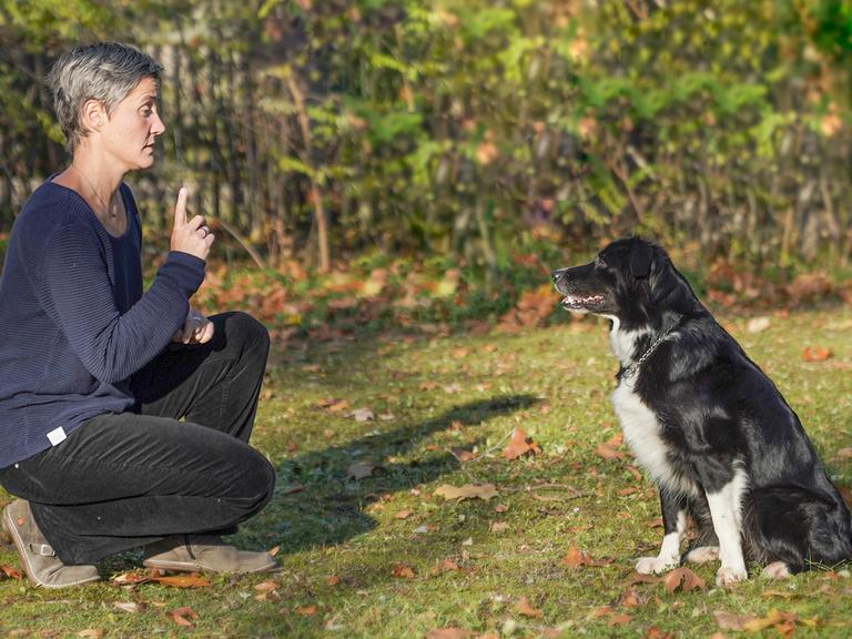 Eine Person sitzt auf einer Weise mit einem erhobenen Zeigefinger gegenüber einem Hund.