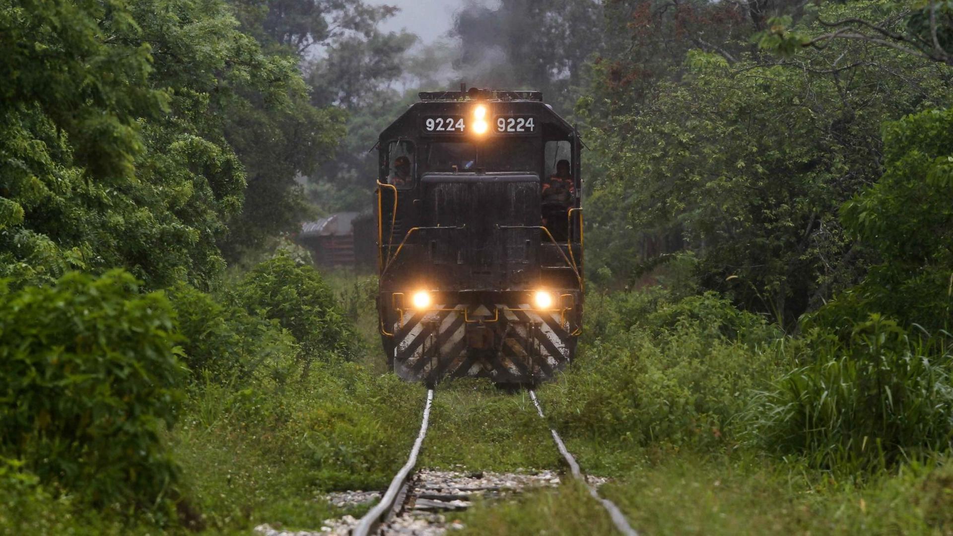 Gleise durch die Wildnis auf der mexikanischen Halbinsel Yucatán, daruf ein Zug