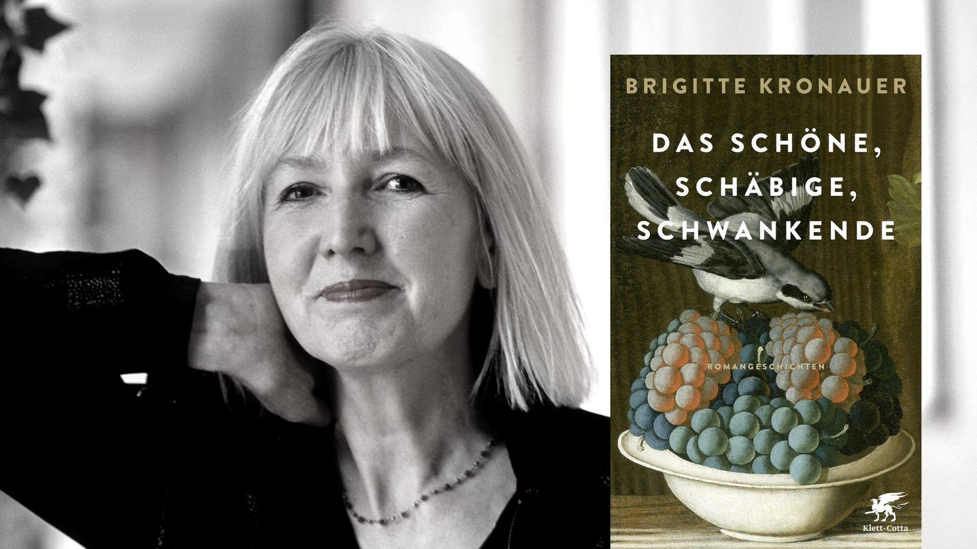 Buchcover: Brigitte Kronauer: "Das Schöne, Schäbige, Schwankende"