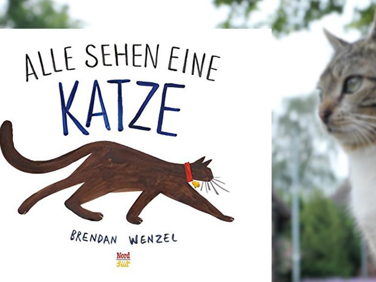 Buchcover "Alle sehen eine Katze" von Brendan Wenzel, im Hintergrund eine Katze auf einem Dorfplatz