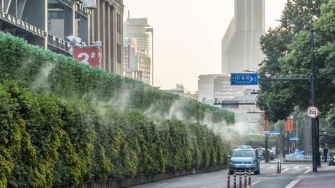Eine Wand mit grünen Pflanzen an einem Rohbau in Shanghai