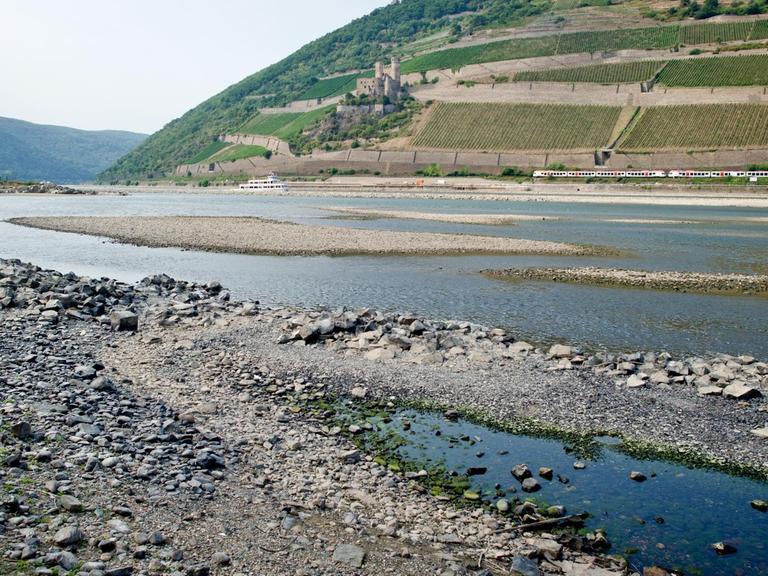 Blick auf Kiesbetten im Rhein mit Niedrigwasser, im Hintergrund Weinberge und der Binger Mäuseturm.