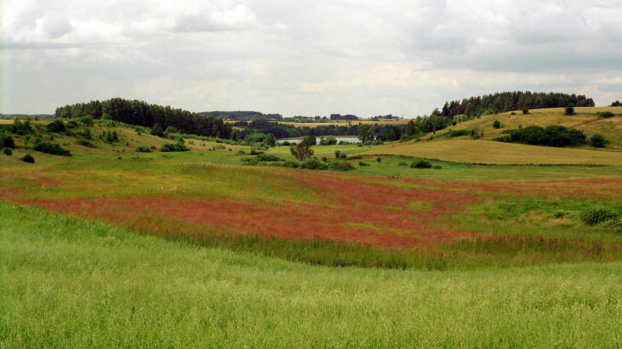 Landschaft in Masuren