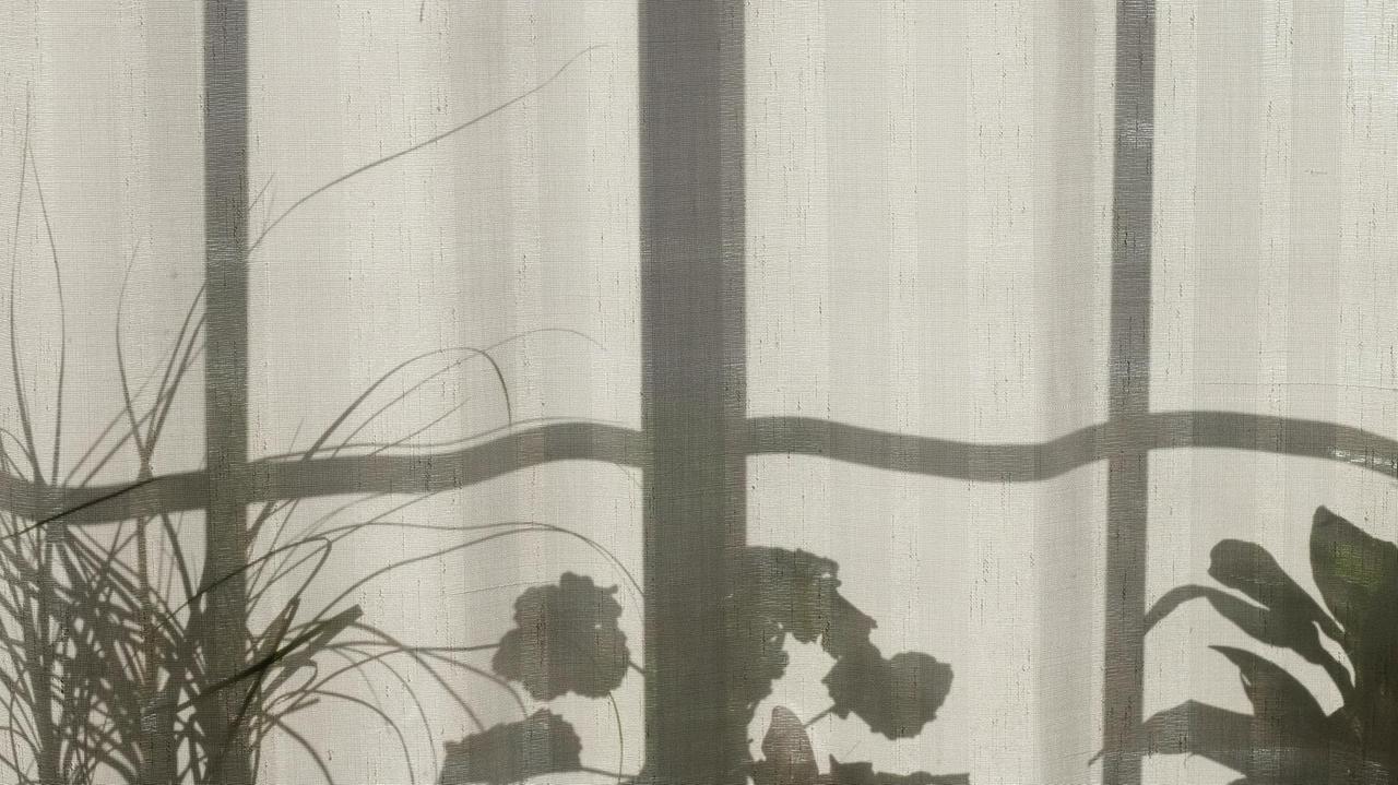 Durch einen geschlossenen Vorhang sind die Silhouetten verschiedener Pflanzen auf einem Fensterbrett zu sehen.