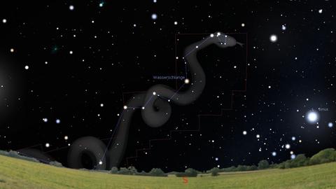 Das Sternbild Wasserschlange als antikes "Vorbild" des Ungeheuers von Loch Ness