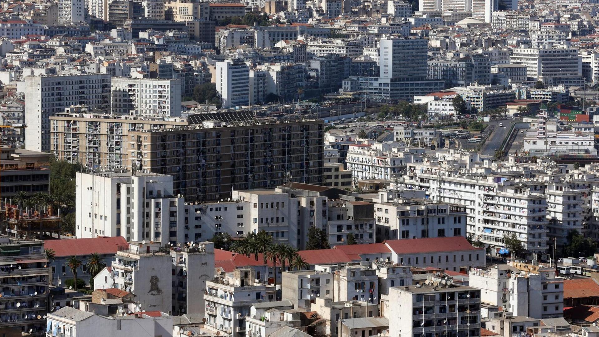 Blick über Algiers