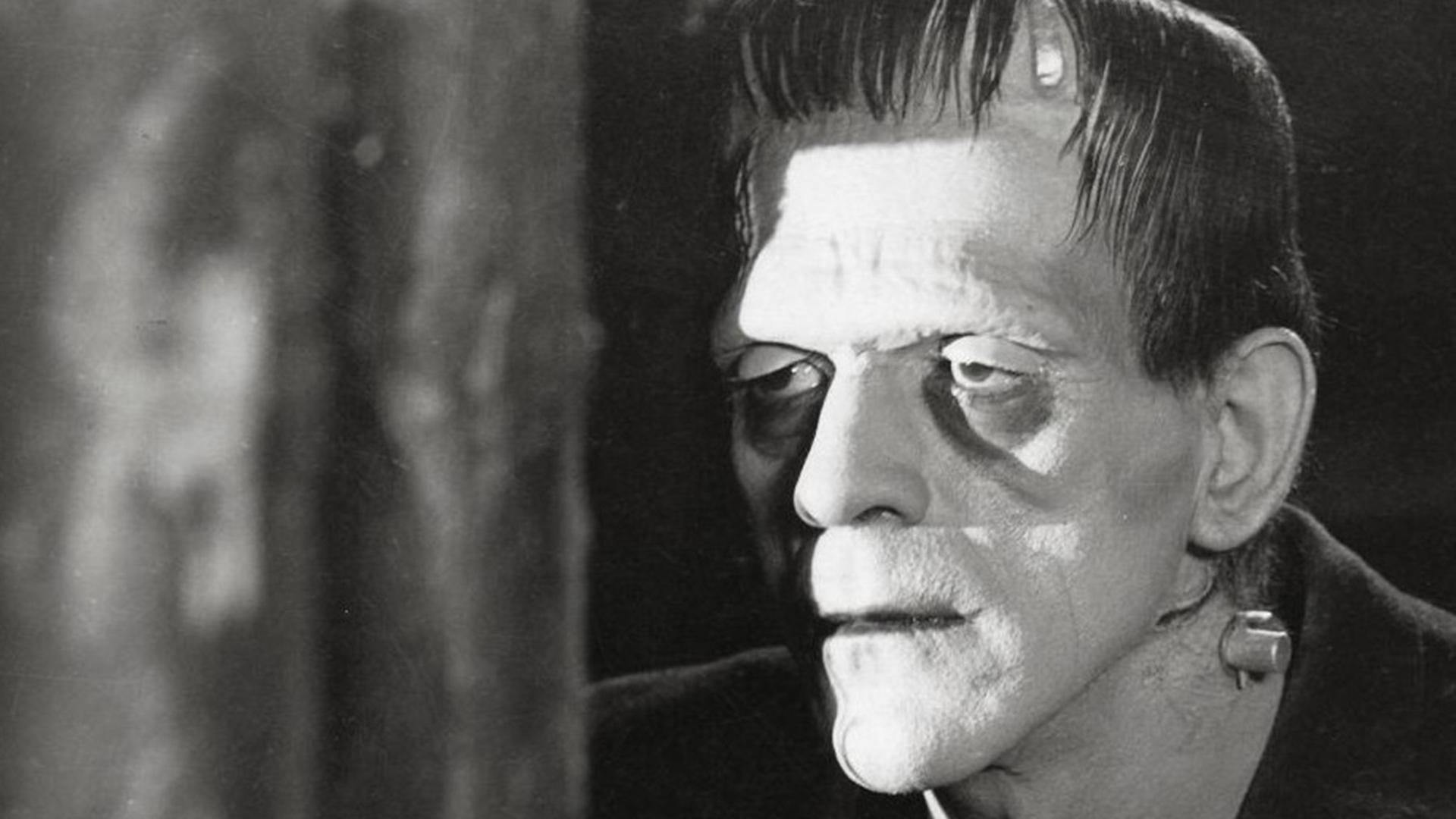 Frankensteins Monster in der Verfilmung von 1931.