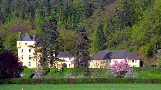 das ockerfarbene Schloss Strauweiler umgeben von Wald