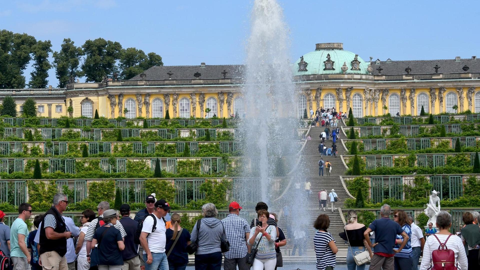 Das Schloss Sanssouci mit Teilen des Parks in Potsdam Das Schloss Sanssouci mit Teilen des Parks in Potsdam