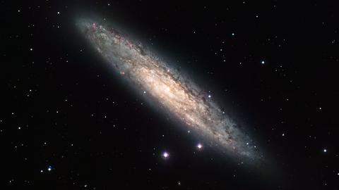 Measuring 70 000 light-years across and laying 13 million light-years away, the nearly edge-on spiral galaxy NGC 253 is revealed here in an image from the Wide Field Imager (WFI) on the MPG/ESO 2.2-metre telescope at the La Silla Observatory. The image is based on data obtained through four different filters (R, V, H-alpha and OIII). North is up and East to the left. The field of view is 30 arcminutes.
