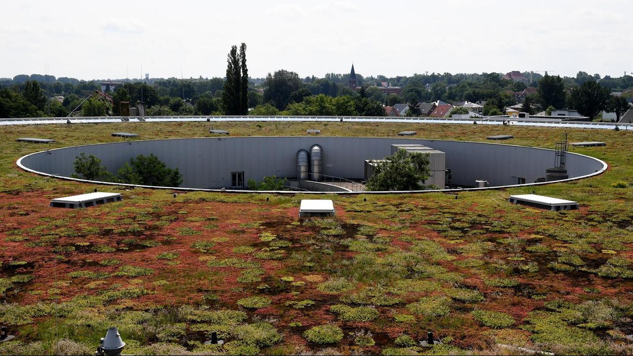 Auf dem Foto ist ein begrüntes Dach eines Gebäudes zu sein, das kreisförmig erbaut ist. in dem Gebäuse sitzt die Berliner Elektronenspeicherring-Gesellschaft für Synchrotronstrahlung m.b.H. (BESSY).