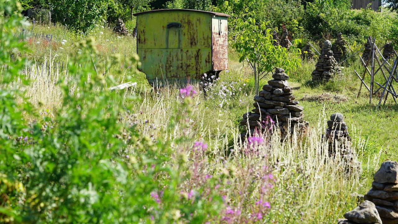Eine saftige hochgewachsene grüne Wiese, bestückt mit Schutthaufen, am Ende des Gartens ein Bauwagen.