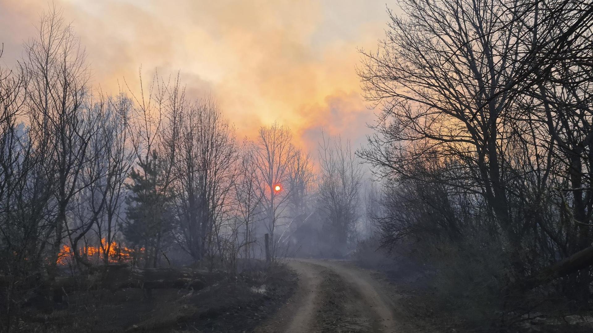 Ukraine, Tschernobyl: Rauchschwaden steigen von einem Waldbrand in der radioaktiv belasteten Sperrzone um das Kernkraftwerk Tschernobyl auf. Ukraine, Tschernobyl: Rauchschwaden steigen von einem Waldbrand in der radioaktiv belasteten Sperrzone um das Kernkraftwerk Tschernobyl auf.
