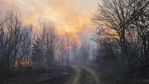 Ukraine, Tschernobyl: Rauchschwaden steigen von einem Waldbrand in der radioaktiv belasteten Sperrzone um das Kernkraftwerk Tschernobyl auf.