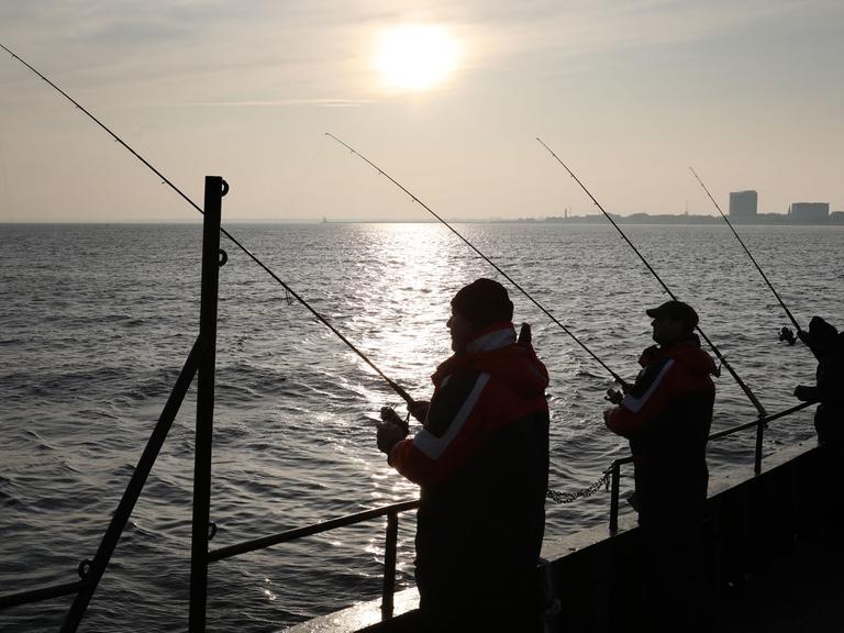 Auf der Ostsee vor Warnemünde versuchen Dorschangler an Bord des Angelkutters «Storkow» ihr Glück. Auf der Ostsee vor Warnemünde versuchen Dorschangler an Bord des Angelkutters «Storkow» ihr Glück.