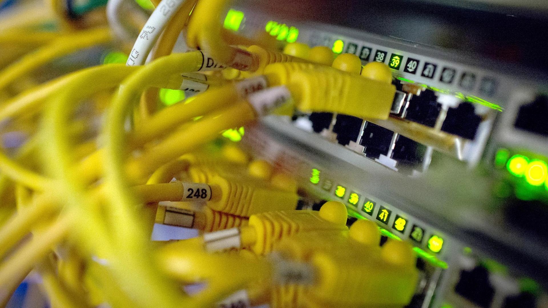 Zahlreiche Netzwerkkabel stecken am 21.07.2014 in Routern in einem Serverrraum im Zentrum für IT-Sicherheit in Bochum (Nordrhein-Westfalen).
