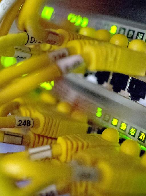 Zahlreiche Netzwerkkabel stecken am 21.07.2014 in Routern in einem Serverrraum im Zentrum für IT-Sicherheit in Bochum (Nordrhein-Westfalen).