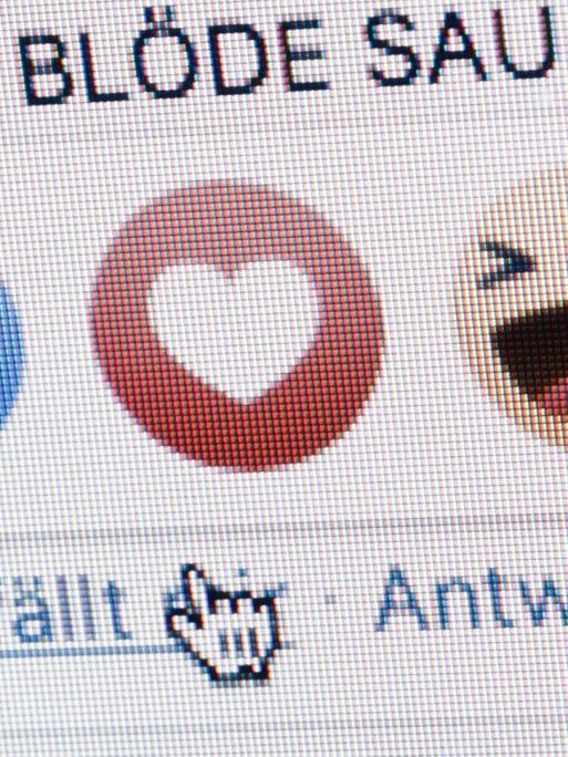 Neben dem "Gefällt mir"-Button von Facebook sind die Worte "Du blöde Sau" zu sehen.