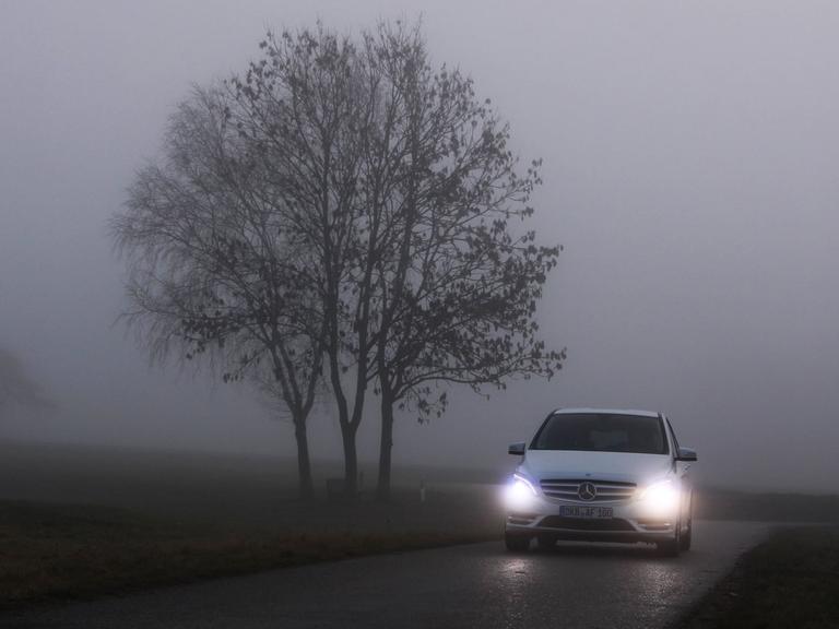 Ein Auto fährt im Nebel auf einer Landstraße.