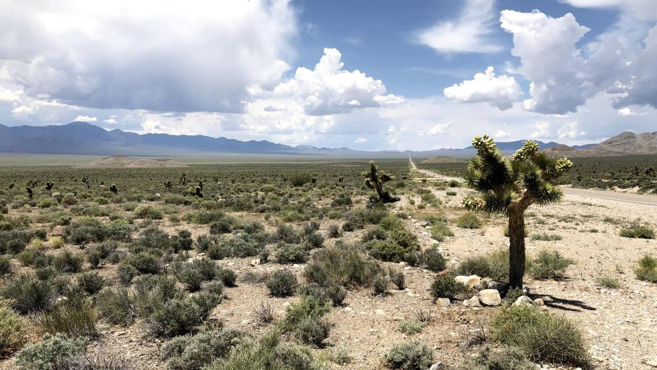 Blick in die Wüste auf dem Weg zur Area 51 in Nevada