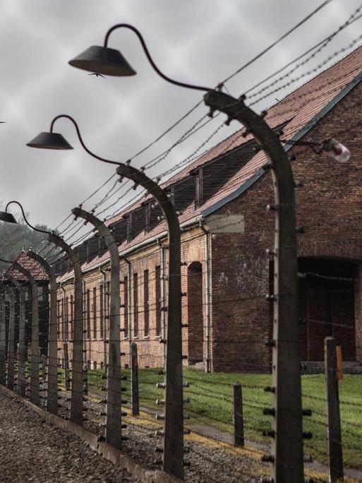 Stacheldraht vor Barracken im KZ Auschwitz