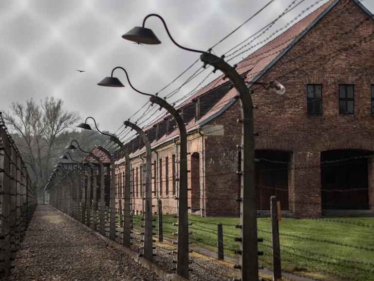 Stacheldraht vor Barracken im KZ Auschwitz