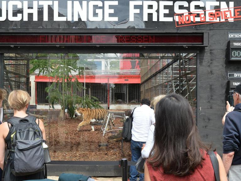 Ein Tiger ist am 22.06.2016 in Berlin vor dem Maxim Gorki Theater im Tigergehege mit der Aufschrift "Flüchtlinge Fressen" zu sehen. Das Theater arbeitet mit der für Provokationen bekannten Künstlergruppe "Zentrum für politische Schönheit" zusammen.