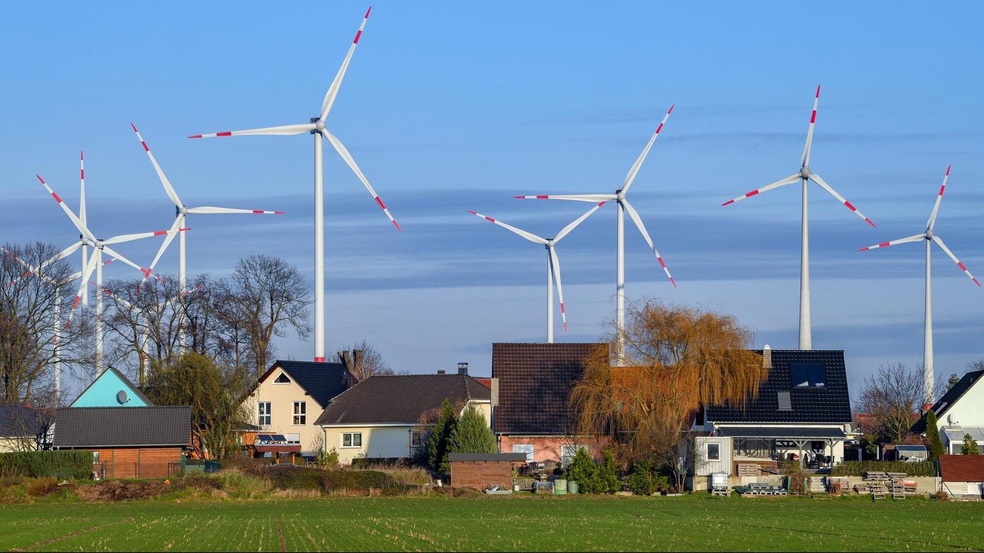 Windräder in Brandenburg stehen hinter dem Ort Jacobsdorf.