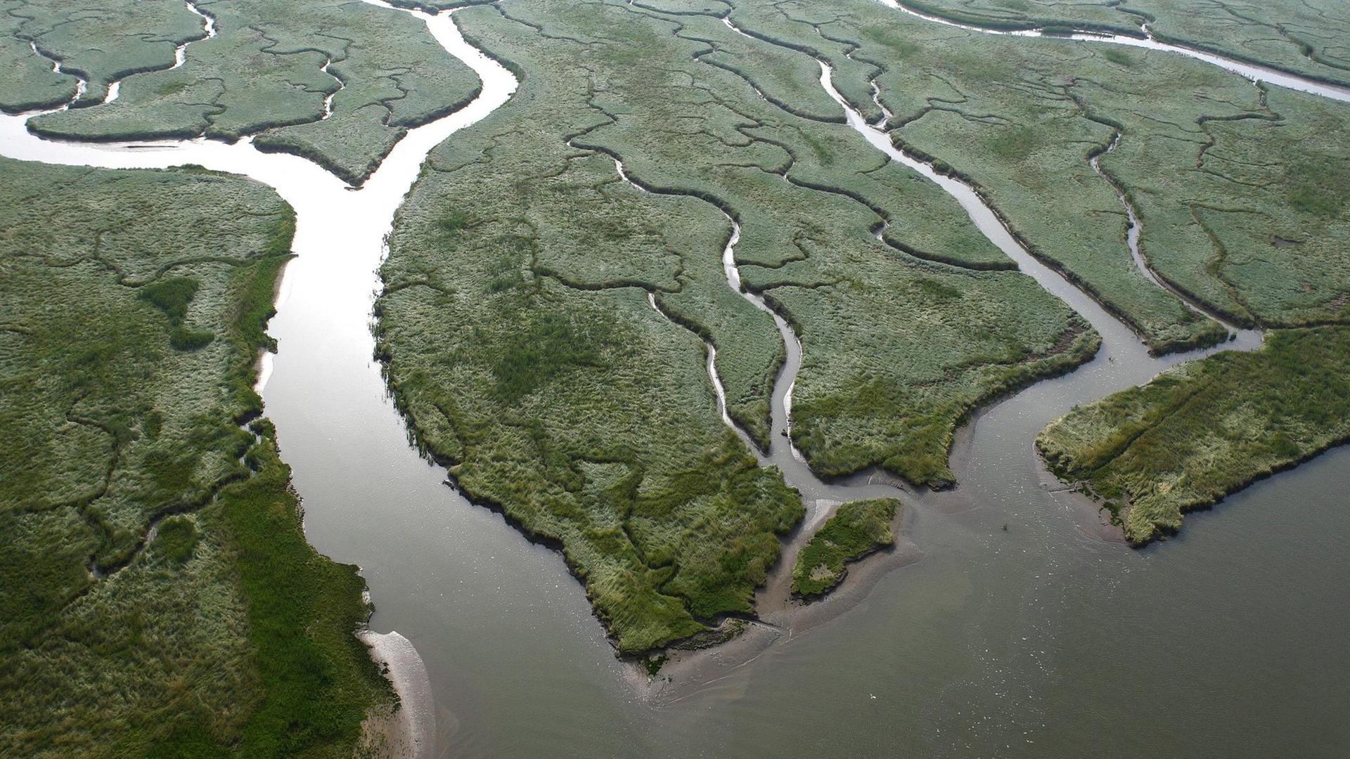 Ein Flussdelta in den Niederlanden aus der Luft