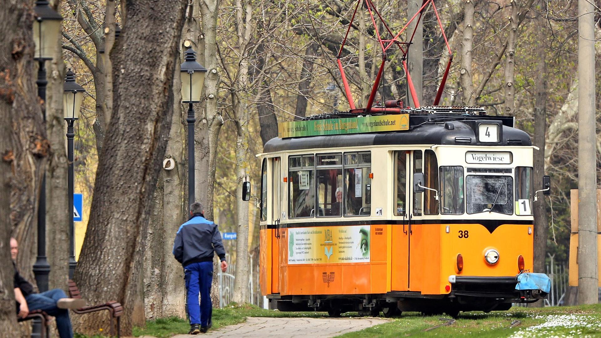 Eine historische Straßenbahn in Orange biegt am Ende einer Allee nach links ab