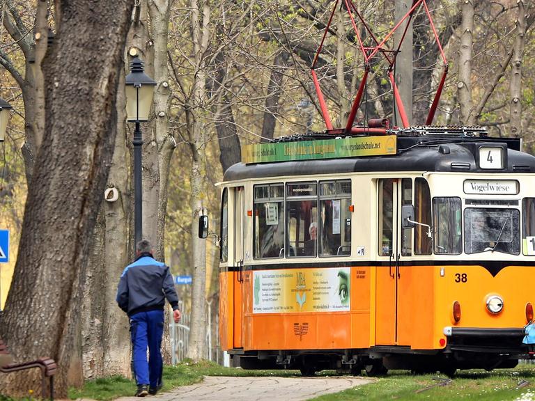 Eine historische Straßenbahn in Orange biegt am Ende einer Allee nach links ab