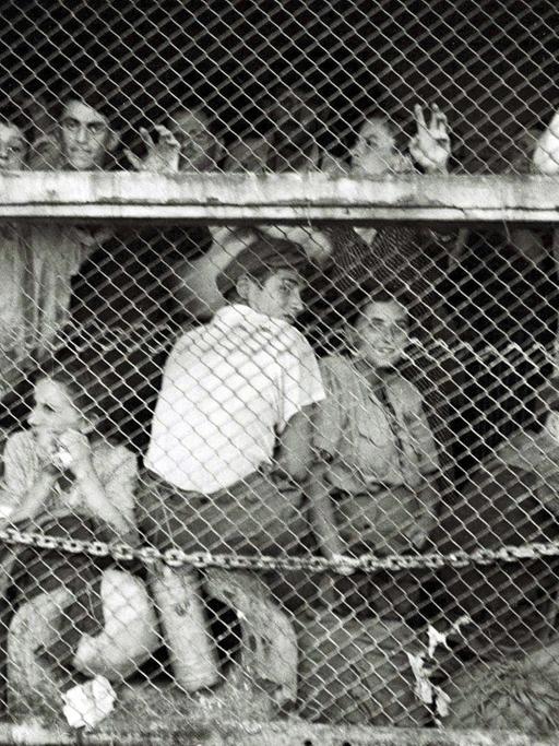 Flüchtlinge aus Europa an Bord des Schiffes Exodus, aufgenommen am 18.7.1947 bei der Einfahrt in den Hafen von Haifa