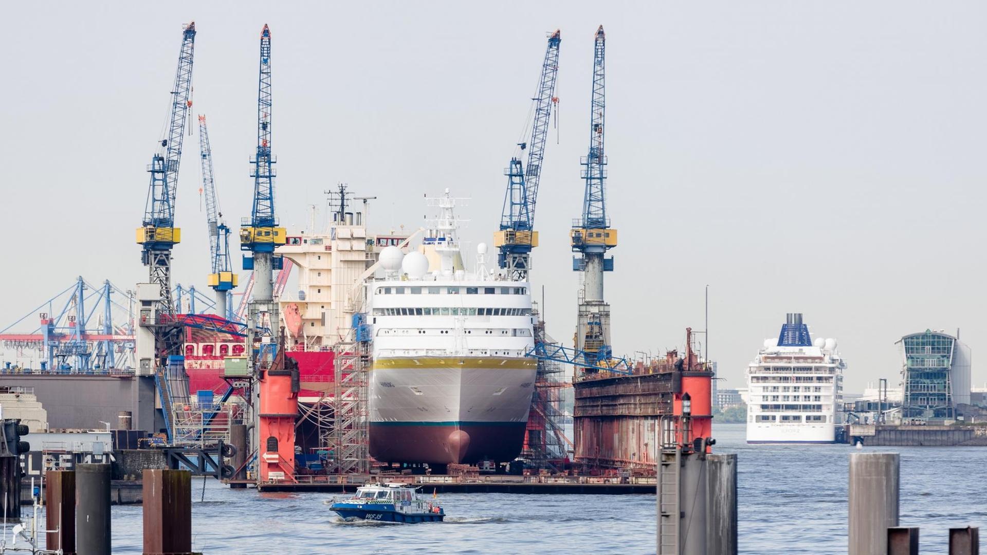 Ein Kreuzfahrtschiff liegt zu Umbau- und Renovierungsarbeiten im Schwimmdock der Werft Blohm+Voss in Hamburg.