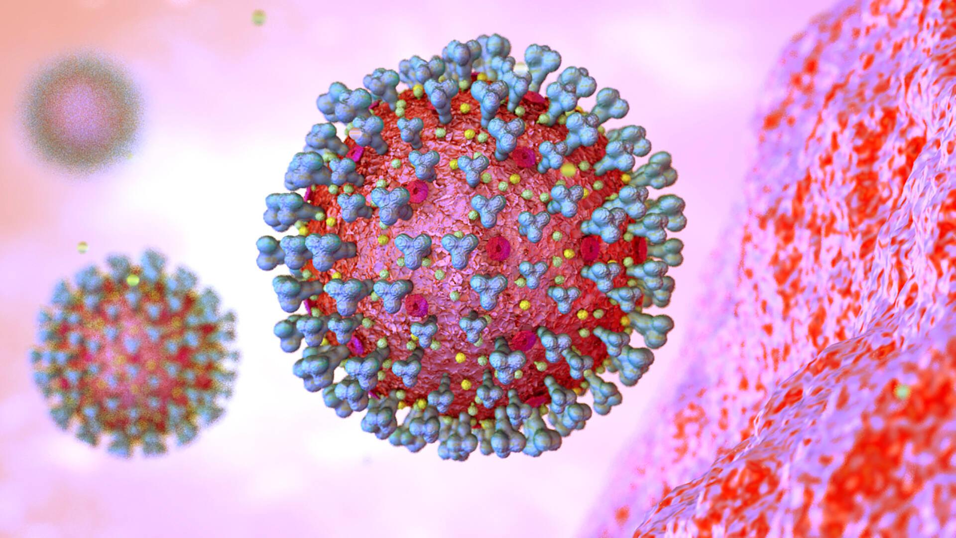 Mikroskopische Ansicht des Coronavirus