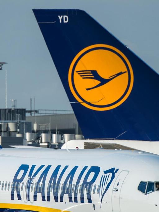 Ein Flugzeug der Fluglinie Ryanair rollt am 02.11.2016 auf den Flughafen in Frankfurt am Main (Hessen) ber das Vorfeld. Im Hintergrund ist die Heckflosse einer Lufthansa-Maschine zu sehen.