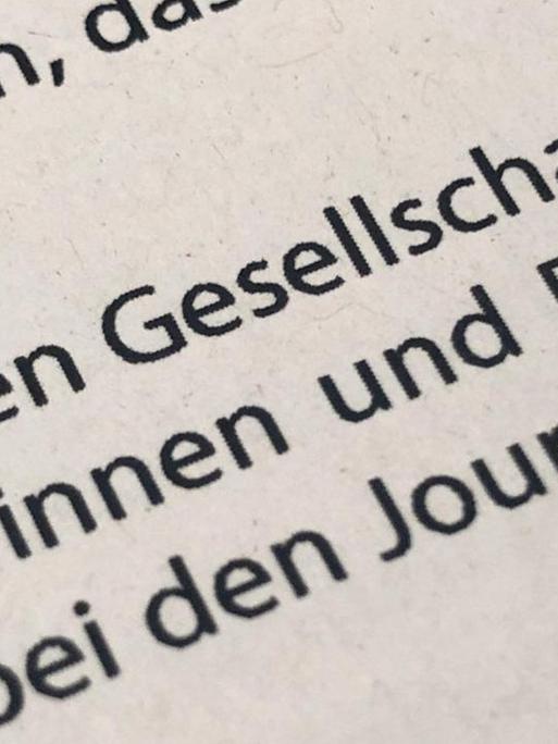 In einem gedruckten Grußwort zur Berlinale sind mehrmals Gendersternchen zu sehen. Foto: Jörg Carstensen/dpa